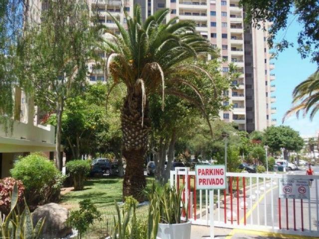 Golden Dreams & Perfect For You ***** Costa Adeje  Exterior foto